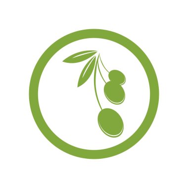 zeytin logosu vektör tasarımı