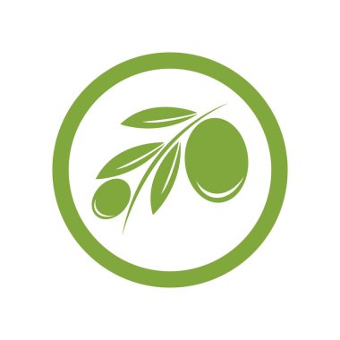zeytin logosu vektör tasarımı