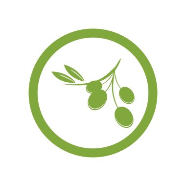 zeytin logosu vektör tasarımı