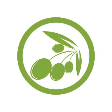 zeytin logosu vektör tasarımı