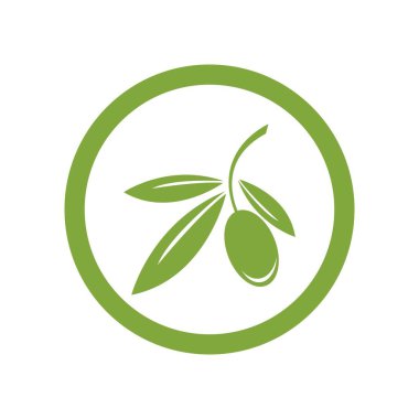 zeytin logosu vektör tasarımı
