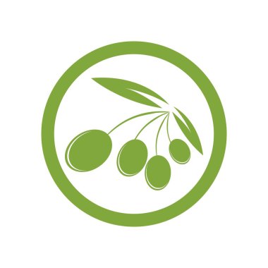 zeytin logosu vektör tasarımı