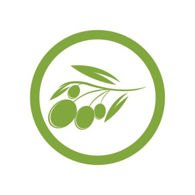 zeytin logosu vektör tasarımı