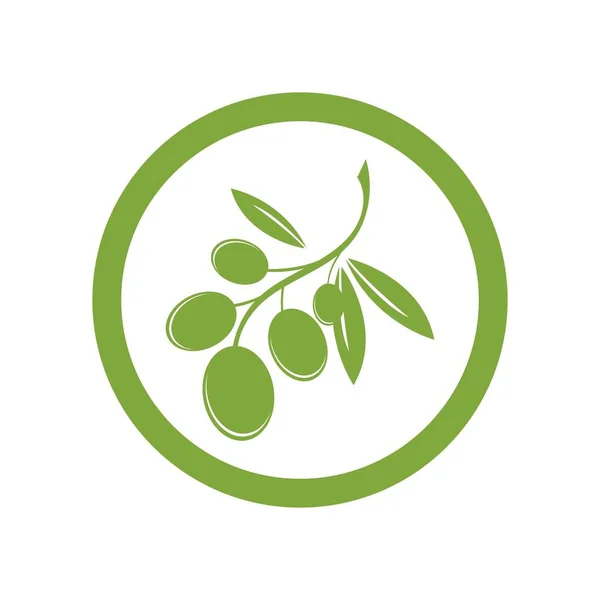 Olive Logo Vorlage Vektor Design — Stockvektor
