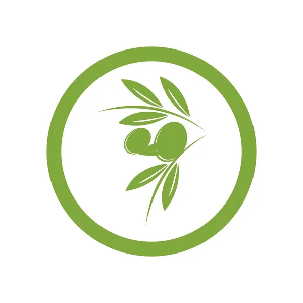 Olive Logo Template Vector Design — Stock Vector