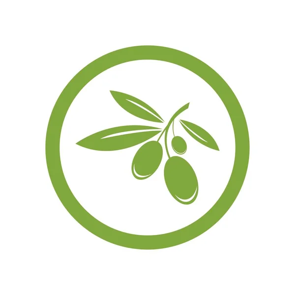 Olive Logo Vorlage Vektor Design — Stockvektor