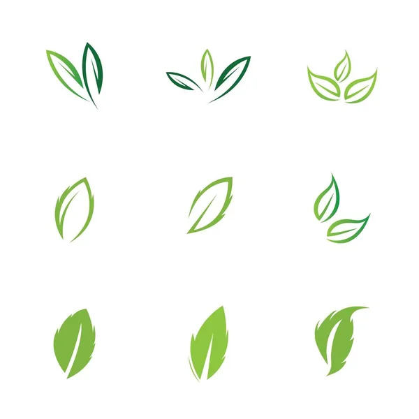 Логотипы Набор Экологических Элементов Зеленого Листа — стоковый вектор