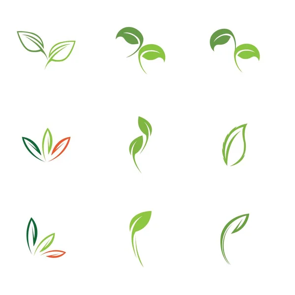 Logotipos Conjunto Ecologia Folha Verde Elemento Vector Natureza — Vetor de Stock