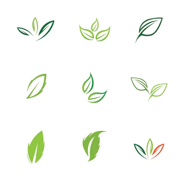 Логотипы Набор Экологических Элементов Зеленого Листа — стоковый вектор