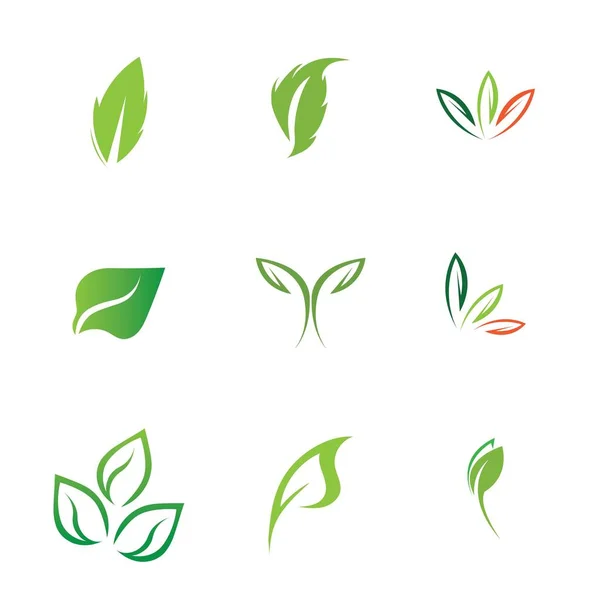 Logos Set Van Groene Blad Ecologie Natuur Element Vector — Stockvector