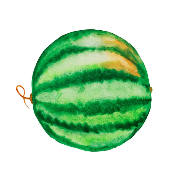 Grün Gestreifte Wassermelone Mit Einem Schwanz Mit Rotem Reifem Saftigen — Stockfoto