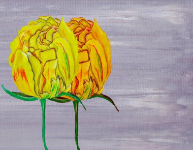 Sarı lale siyah arka planda bir bahar çiçeği yağla boyanır yağ dokusu ve palet bıçağı görünür.