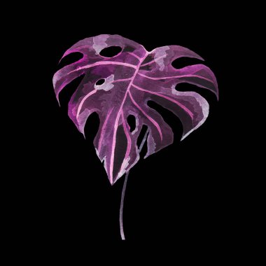 Tropikal canavarlar mor burdock yaprakları gibi büyük yapraklar bırakır.