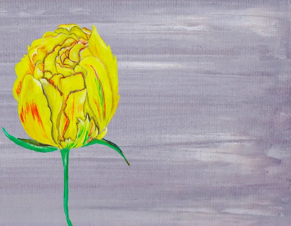 Жовтий Тюльпан Весняна Квітка Чорному Тлі Пофарбована Олію Текстура Олії — стокове фото