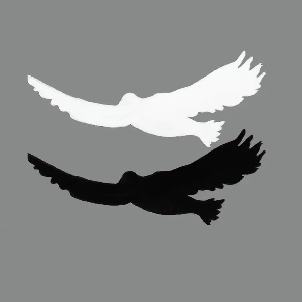 一只鸟的轮廓 一只展翅展翅的鹰 黑色和白色的图片图案 — 图库照片
