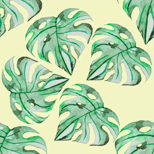 Trópusi Szörny Levelek Nagy Zöld Egy Vékony Láb Akvarell Minta — Stock Fotó