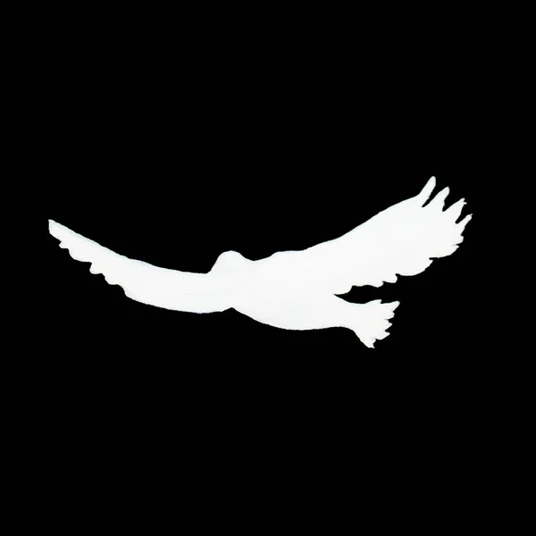 Silhouette Bird Eagle Soaring Large Wingspan Black White Picture Pattern — Stock Photo, Image