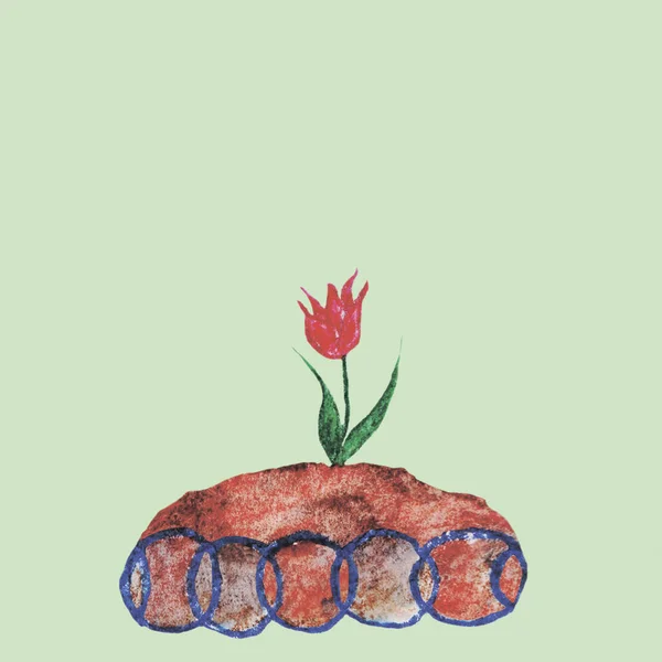 Red Tulip Yellow Pot Brown Earth Flower Bed Watercolor Drawing — Stock Photo, Image