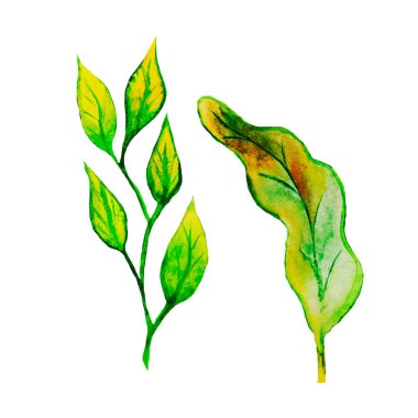 Yapraklar, çimenler, bir meşe ağacının sarı yaprakları ve suluboya diğer bitkiler, dallar hem bireysel ve bileşim, rüzgar tarafından yakalanmış gibi, bir kasırga ve bir çelenk fırıl fırıl döndü