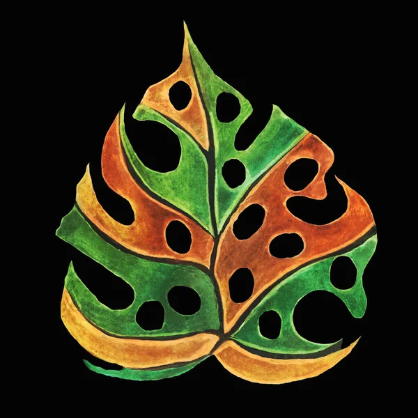 Liść Monstera Tropikalnej Rośliny Otworami Zielony Żółty Liliowy Różowy Niebieski — Zdjęcie stockowe
