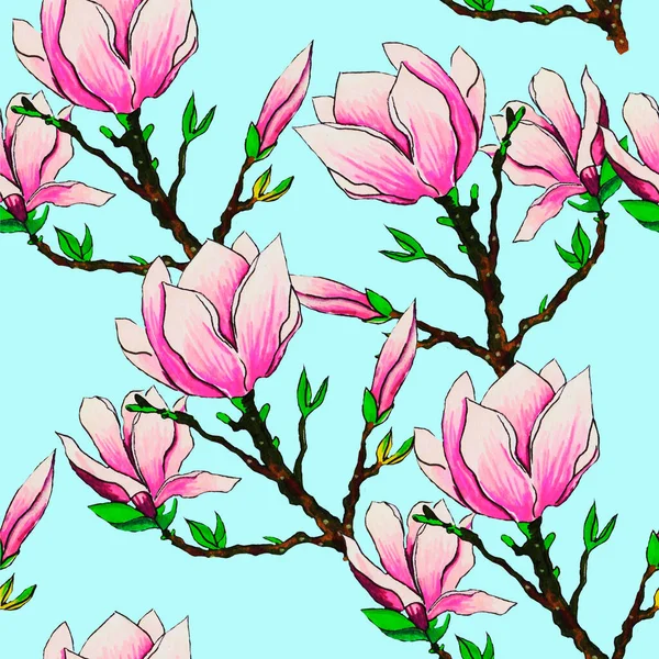Magnólia Egy Virág Egy Virágzik Tavasszal Rózsaszín Gallyak Finom Szirmok — Stock Fotó