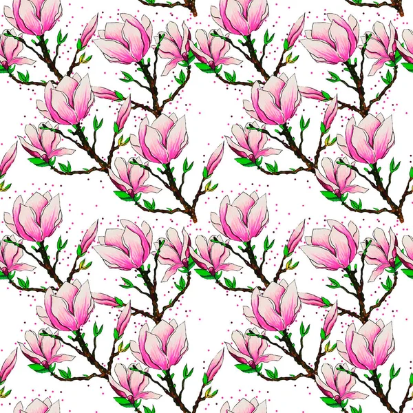 Magnolia Flower Tree Blooming Spring Pink Twigs Delicate Petals Bloom — Stock Photo, Image