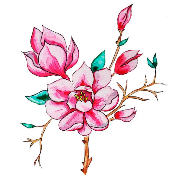Magnolia Fleur Rameau Fleuri Motif Rose Abstrait Avec Des Pétales — Photo