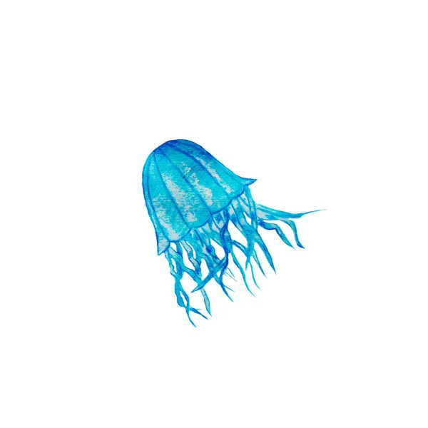 Medúza Vörös Tengerben Vagy Óceánban Fényes Zöld Rózsaszín Kék Tengeri — Stock Fotó