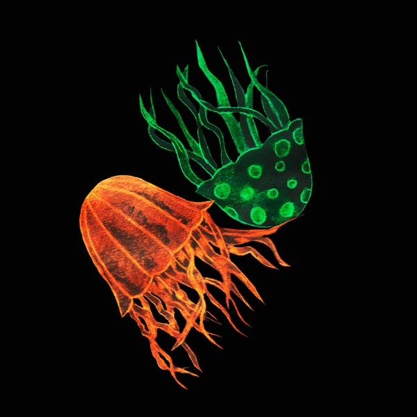 炽热的水母 生活在海里 或在黑暗的霓虹灯中发光 以及明亮 有毒的绿色海洋动物 — 图库照片