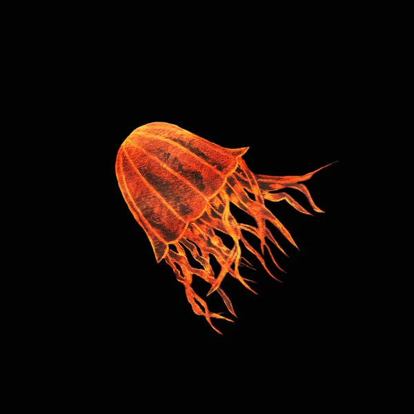 Fire Jellyfish Orange Red Lives Sea Ocean Glows Dark Neon — Stock Photo, Image