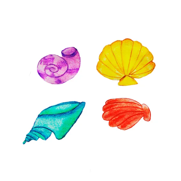 Shells Clams Bright Colorful Children Red Blue Yellow Lilac Different — Stock Photo, Image