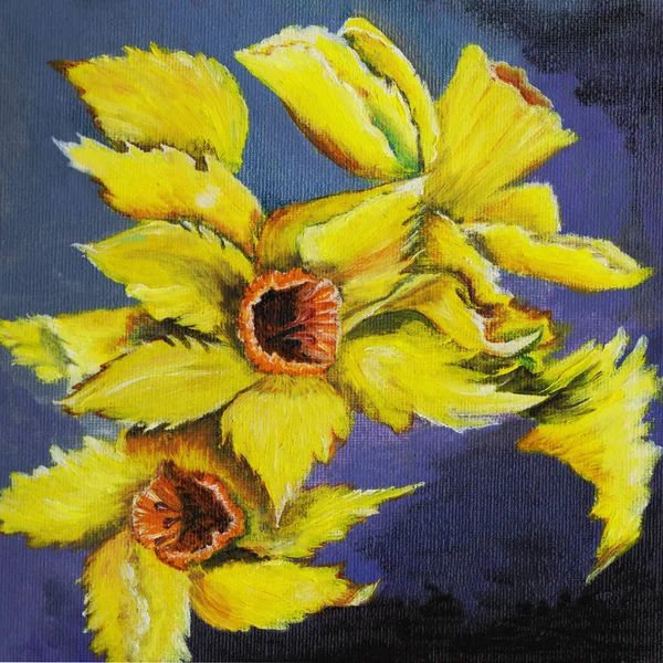 Narcisy Jsou Žluté Květy Které Kvetou Zahradě Jaře Olejomalba — Stock fotografie