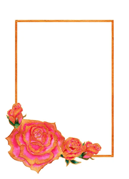 Rosa Perfumada Floresce Toda Primavera Verão Outono Rosa Diferentes Estágios — Fotografia de Stock