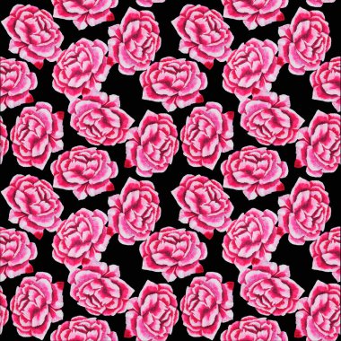 Fırça darbeleri ile gül, pembe renk palet bıçağı ile yağ beyaz ve koyu damarları ile voluminous çiçek