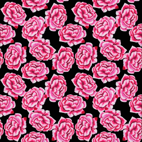 Růže Tahy Štětcem Olej Paletovým Nožem Růžové Barvy Objemný Květ — Stock fotografie