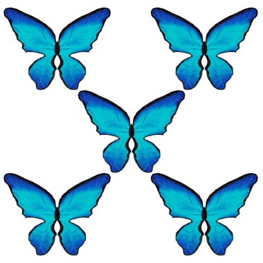 Kanatlı parlak mavi kelebek ve uçan böceklerden oluşan siyah gövde deseni, çiçekleri döller ve etraflarında uçar.