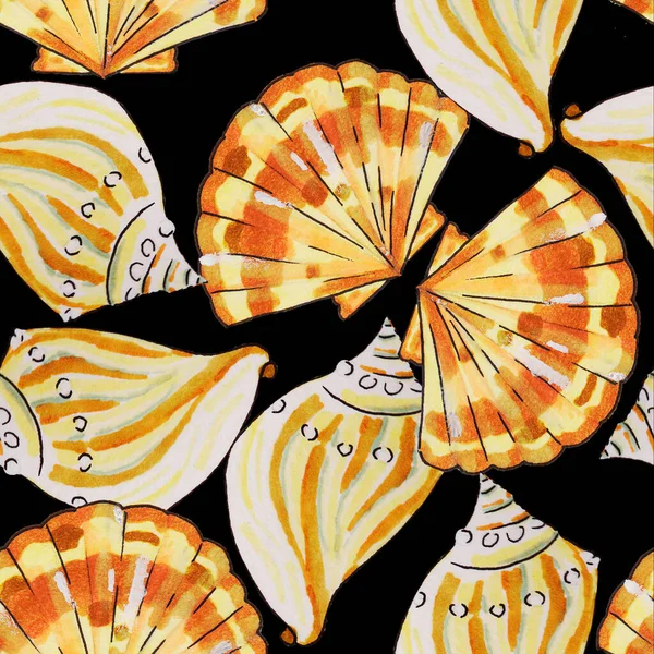 Shells Shellfish Live Sea Ocean Different Shapes Spiral Fan Triangle — Stock Photo, Image