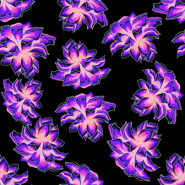 Сукуленти Квіти Домашні Рослини Ростуть Горщиках Природі Пустелі Або Піщаній — стокове фото