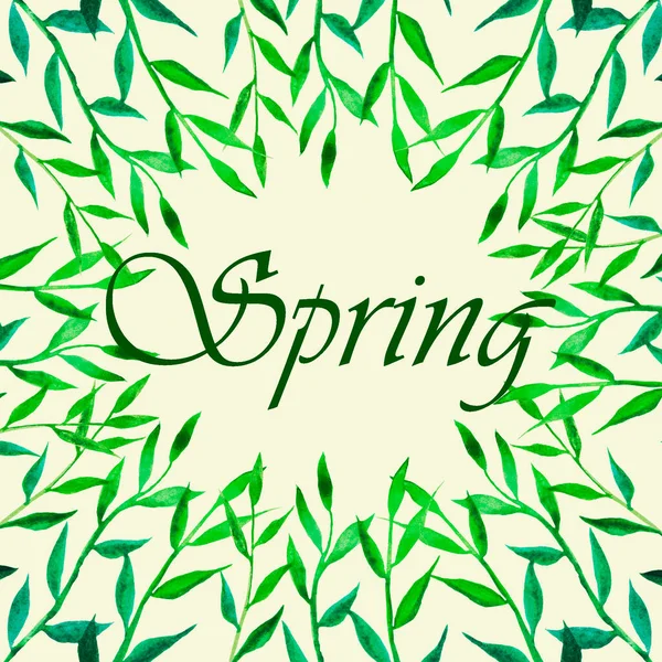 草是绿色的 花瓣的茎长在春天的草框里 上面用英文写着春天的字母 — 图库照片