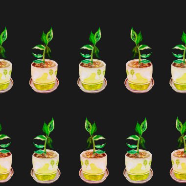 sahanın gövdesinde yeşil yapraklar deseni olan sarı bir saksıda ev çiçeği, bir çay tabağı, suluboya çizimi