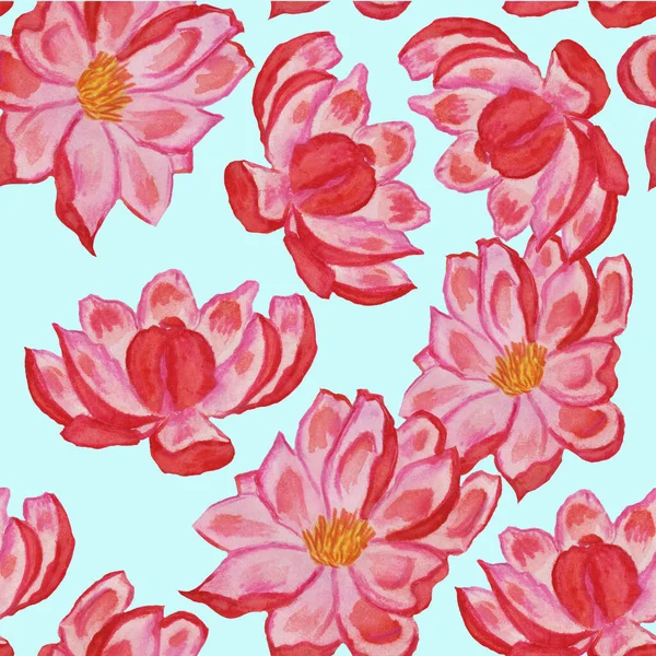 Kytice Růžových Květin Žlutými Písty Tyčinkami Jemnými Okvětními Lístky Padající — Stock fotografie