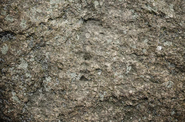 Fondo superficie rocciosa . — Foto Stock
