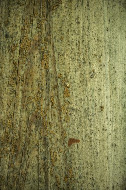 Eski bir kırık boya ile panoları.