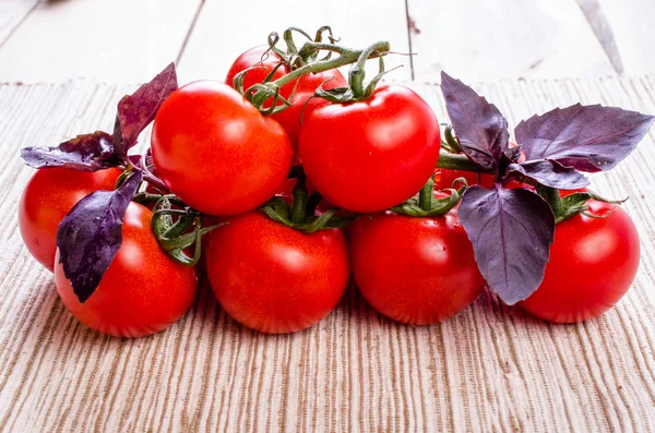 Tomatoes on a branch and basil. — Stock Photo, Image