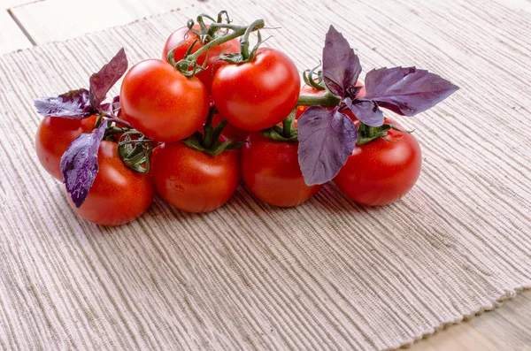 Tomatoes on a branch and basil. — Stock Photo, Image