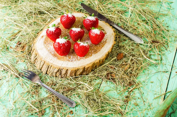 Çilek ile şeker serpilir stump, Tarih. — Stok fotoğraf