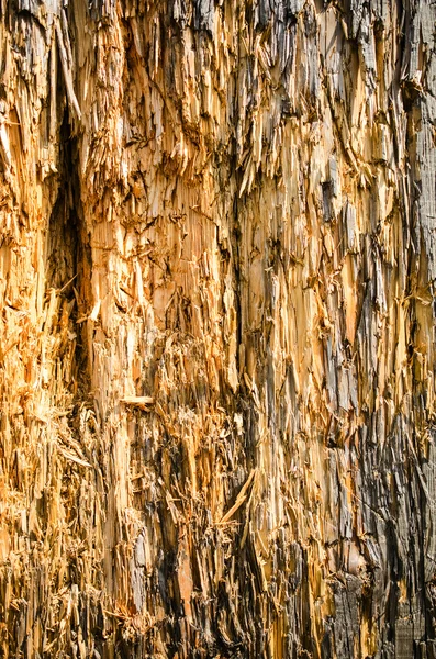 Háttér nagyon elaggott repedt fa. — Stock Fotó