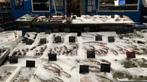 Kiev, Ucrania, octubre de 2020: - Un montón de crudo diferentes pescado congelado espolvoreado con hielo picado en el mostrador en el supermercado Metro. Plan medio. — Vídeos de Stock
