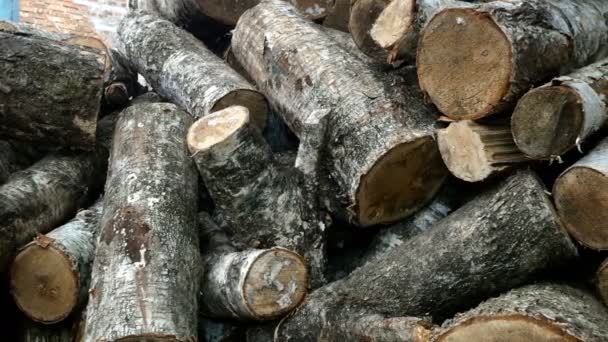 Pile of cut birch logs of different cross-sections are piled up on backyard or warehouse as preparation for heating season to heat home. Left to right moving. Close-up. — Stock Video