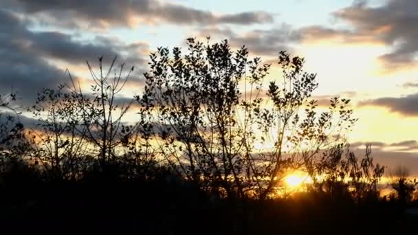 夕暮れ時の日没時に明るい雲と劇的な空。田舎、ウクライナの村で。パノラマ撮影。閉鎖. — ストック動画